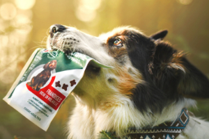 friandises pour chien Équilibre & Instinct