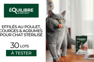 effilés Équilibre & instinct pour chat stérilisé