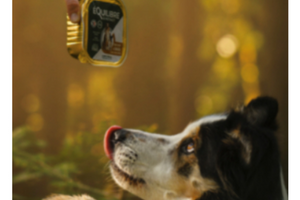 pâté riche en canard & petits pois Équilibre & instinct