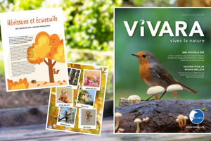 un catalogue Vivara à recevoir