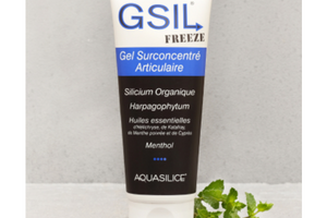 GSIL Freeze Gel Surconcentré Aquasilice Nutrivie