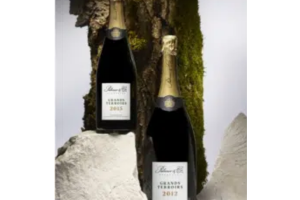 champagne Palmer & Co Grands Terroirs 2015