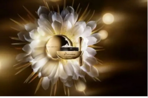 une gamme de soins Clarins Precious offerte