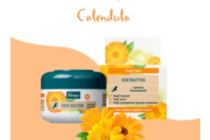 Beurre pieds Calendula de Kneipp