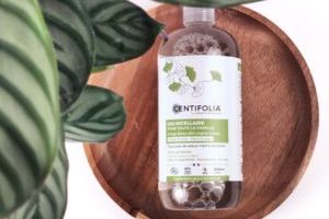 eau micellaire pour toute la famille Centifolia