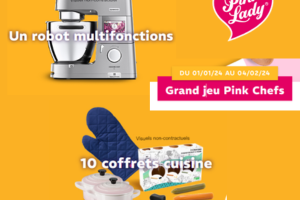 jeu Pink Lady robot multifonctions Kenwood