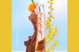parfum Flower Ikebana Mimosa
