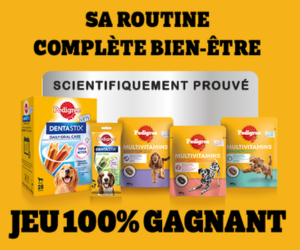 Concours Pedigree - un an de Dentastix et Multivitamins