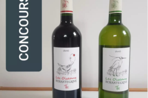 Le plaisir de faire plaisir un coffret de vins Les Oiseaux de Chantegrive