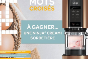 un robot Ninja Creami