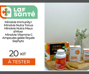 Kit Défenses Renforcées de Minolvie