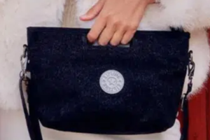 Kipling sac à main