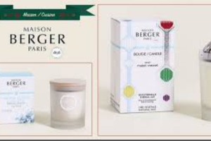 lot Maison Berger Paris