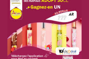 Adopt’ un an de parfums