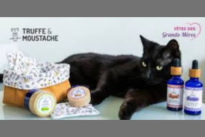 lot Truffe & Moustache