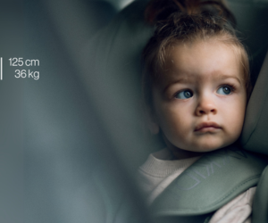 Siège auto Minikid 4 Max Axkid