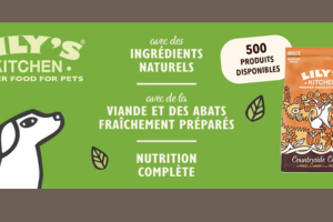 croquettes Countryside Casserole de Lily’s Kitchen