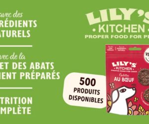 galettes au bœuf de Lily’s Kitchen