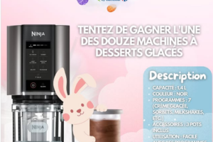 Marché Frais machine à desserts glacés Ninja
