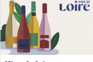 pack de deux bouteilles de Vin de Loire