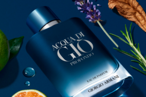 _Parfumdo parfum Acqua Di Giò Profondo de Giorgio Armani