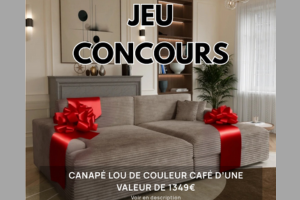 canapé LOU couleur café