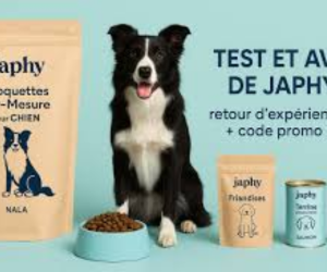 croquettes pour chien et chat Japhy
