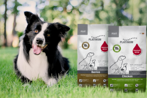 gamme d’aliments secs pour chiens Platinum