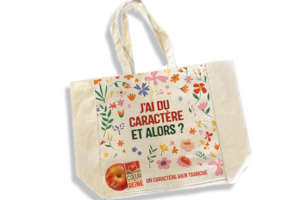 magnifique sac cabas