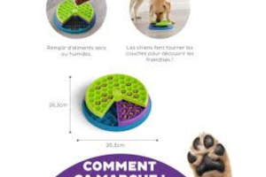 puzzle interactif et gamelle anti-glouton