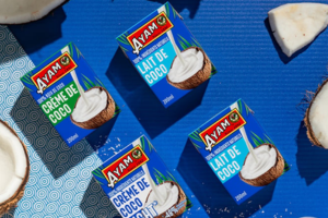 crèmes et laits de coco Ayam