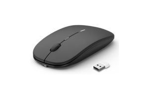 souris sans fil rechargeable