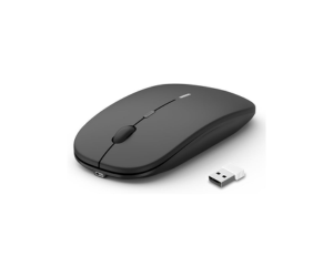 souris sans fil rechargeable