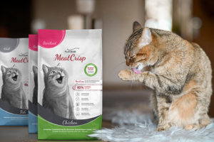 pack d’aliments secs premium pour chats Platinum
