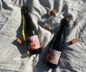 vin sans alcool Résolution d’EthicDrinks